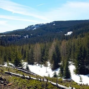 Meet your Posher, Bree